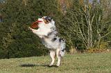 FRISBEE 016